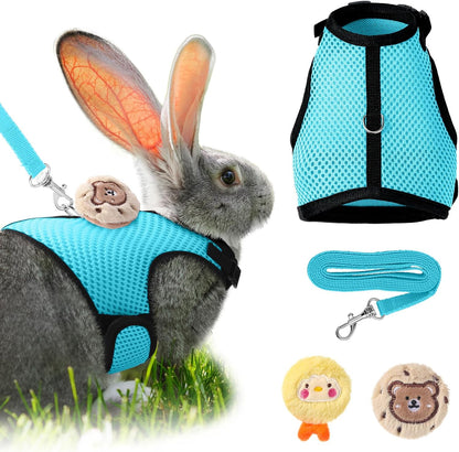 Bunnycool light blue rabbit harness and leash set front view