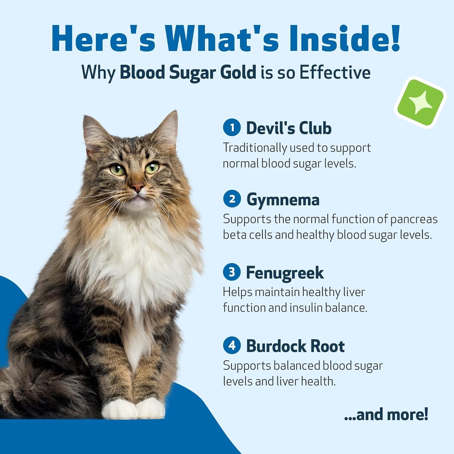 Veterinarian formulated blood sugar support for cats