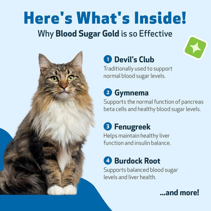Veterinarian formulated blood sugar support for cats