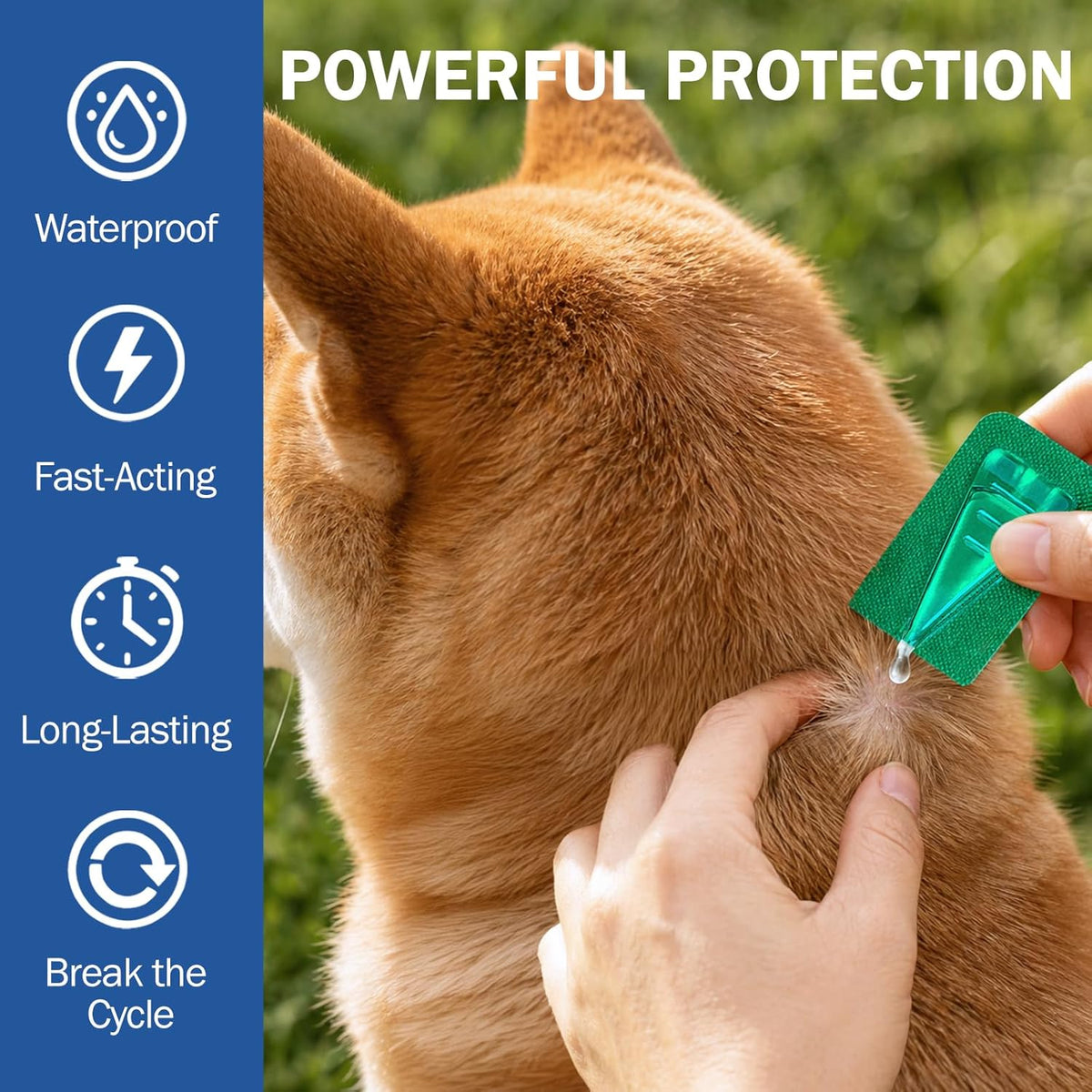 Back view of the imported dog flea medication box detailing age requirements of 8 weeks and older.