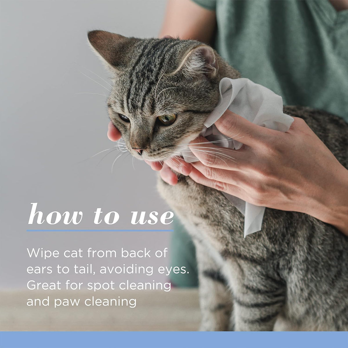 Burt's Bees gentle kitten wipes for face and tail grooming