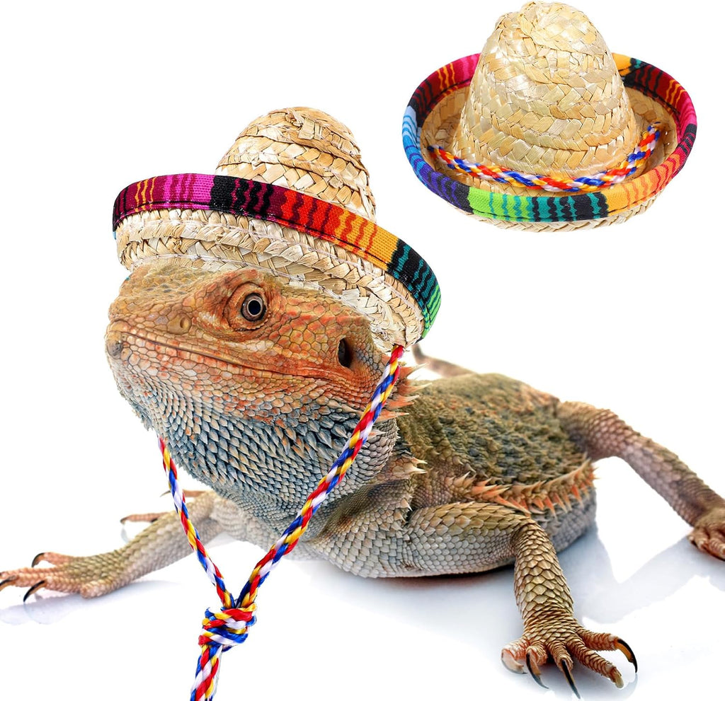 Gtziqa bearded dragon sombrero hat front view reptile costume accessory