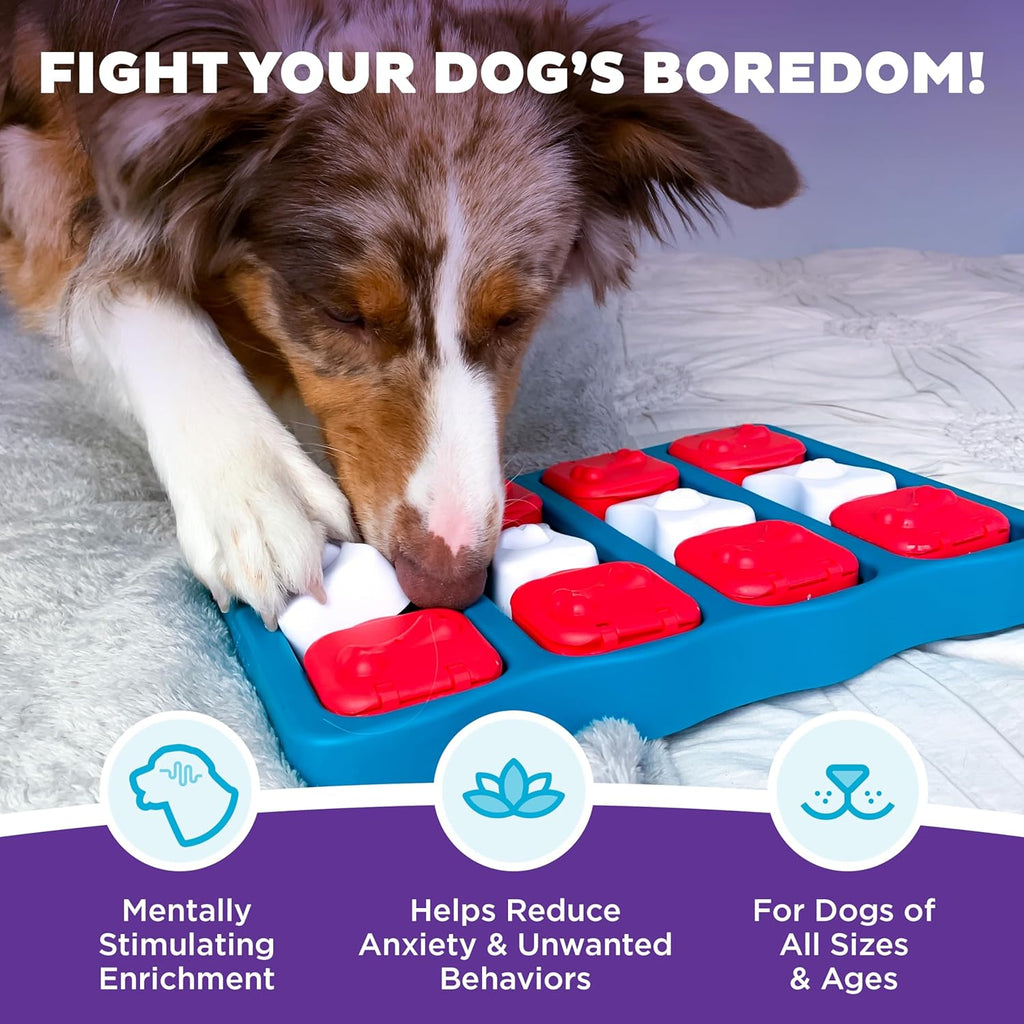 Nina Ottosson intermediate level two dog puzzle treat dispenser top view
