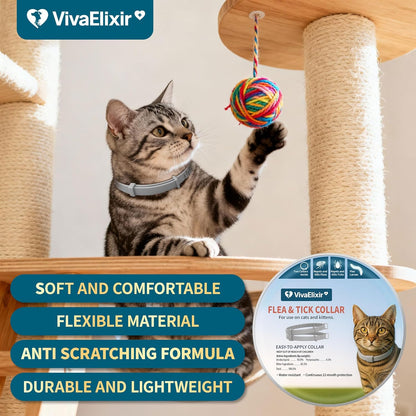 Close up of VivaElixir natural essential oil cat collar ingredients