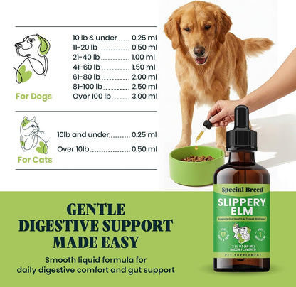 Authentic USA imported pet digestive supplement bottle