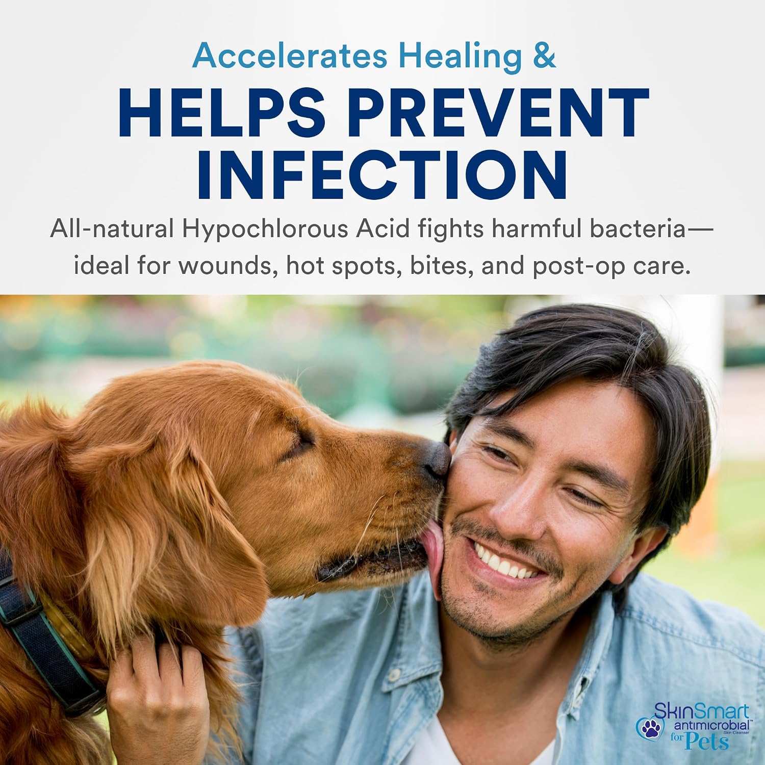 Vet recommended sting free pet first aid spray for hot spots