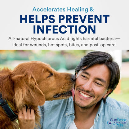 Vet recommended sting free pet first aid spray for hot spots