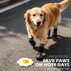 Close up of anti-slip rubber grips on Expawlorer dog boots