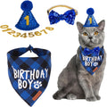 Adoggygo cat birthday boy bandana and hat set front view
