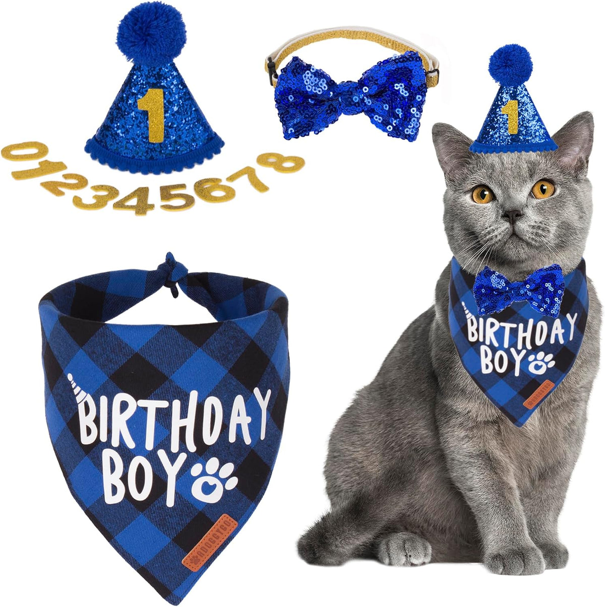 Adoggygo cat birthday boy bandana and hat set front view