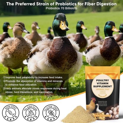 All-in-one poultry feed additive powder for feather regrowth and molt recovery