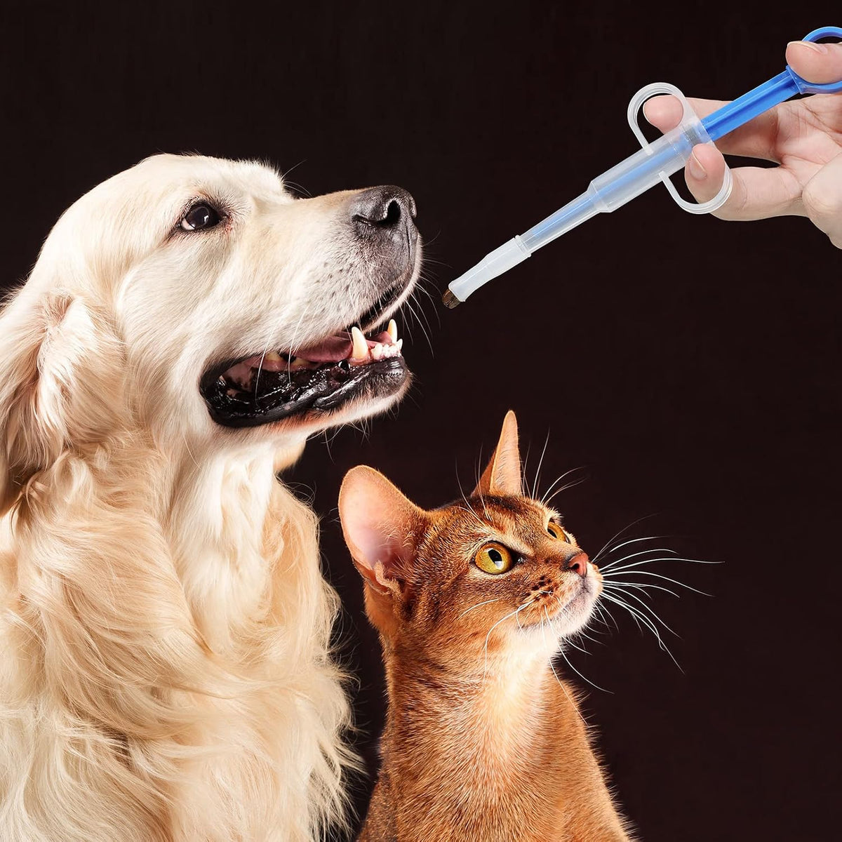Nuanchu dog pill dispenser gun showing the interchangeable liquid watering nozzle