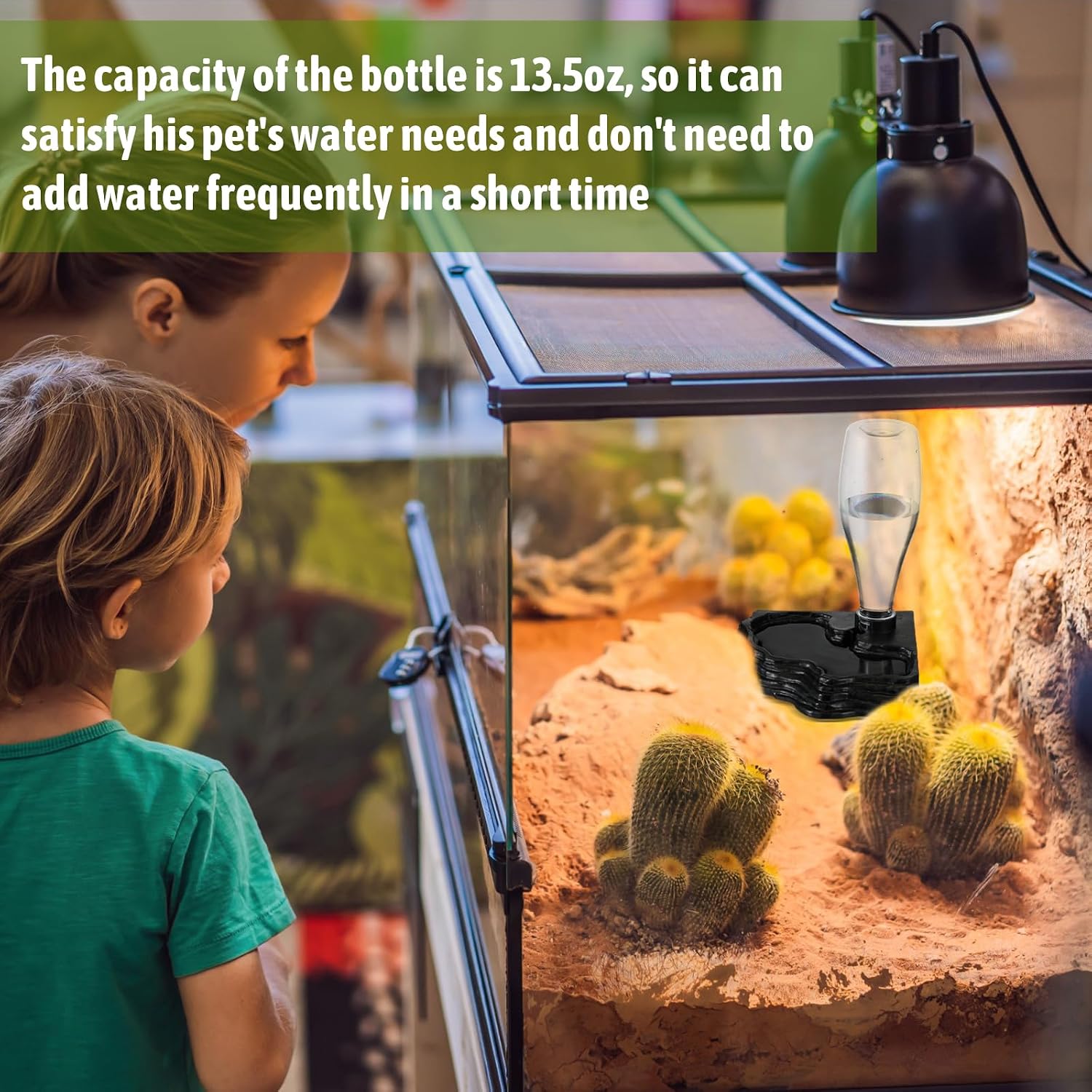 Two pack of Mumufy automatic waterers for turtles and geckos unboxed.