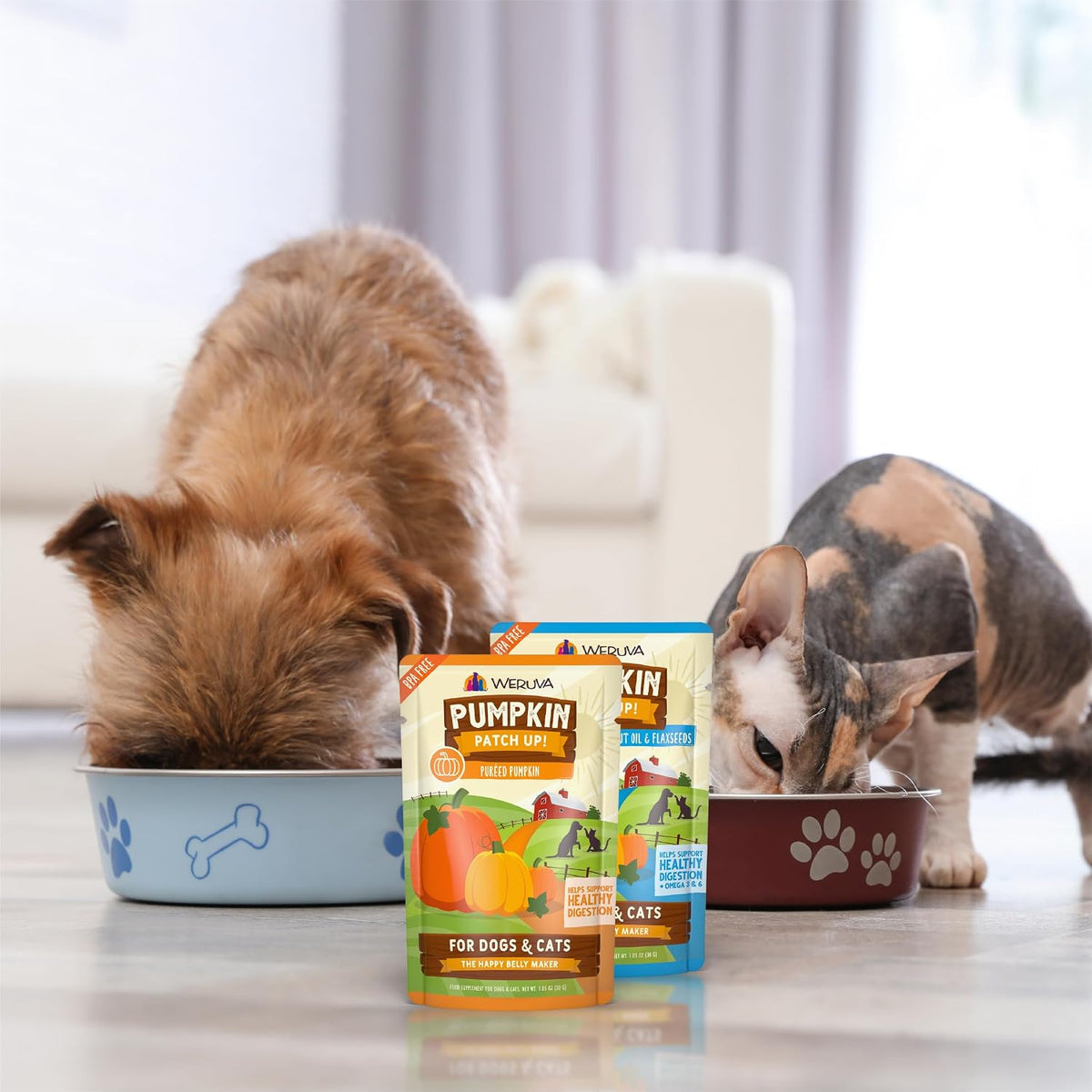 Weruva Pumpkin Patch Up! Pumpkin Pouches for Dogs & Cats - Image 9