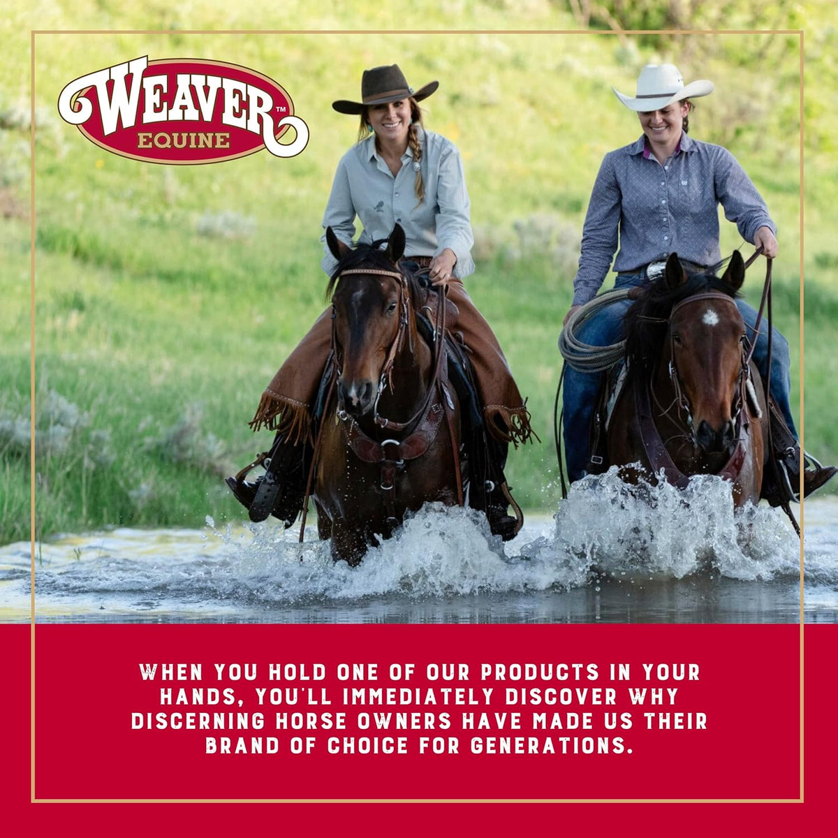 Weaver Equine sweat scraper and coarse curry combo tool
