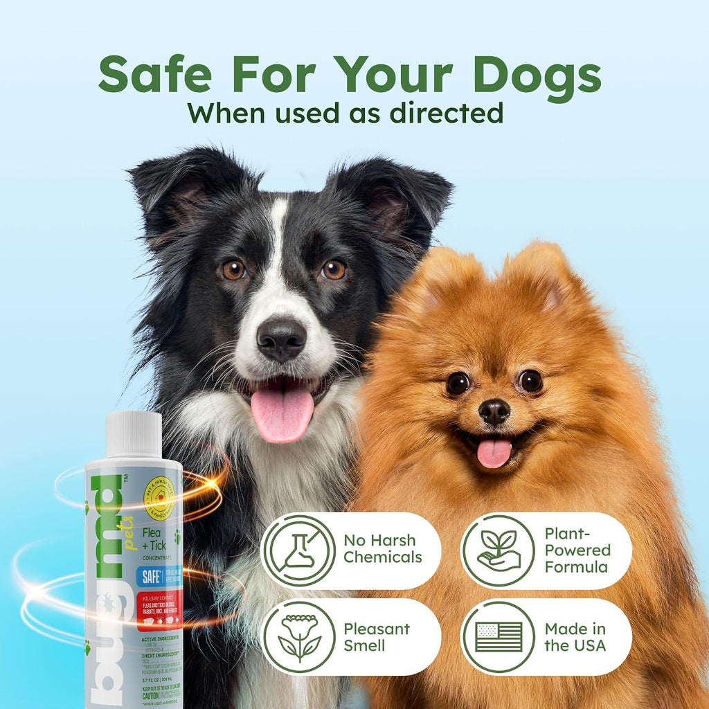 Using BugMD flea spray on dog bedding