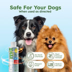 Using BugMD flea spray on dog bedding