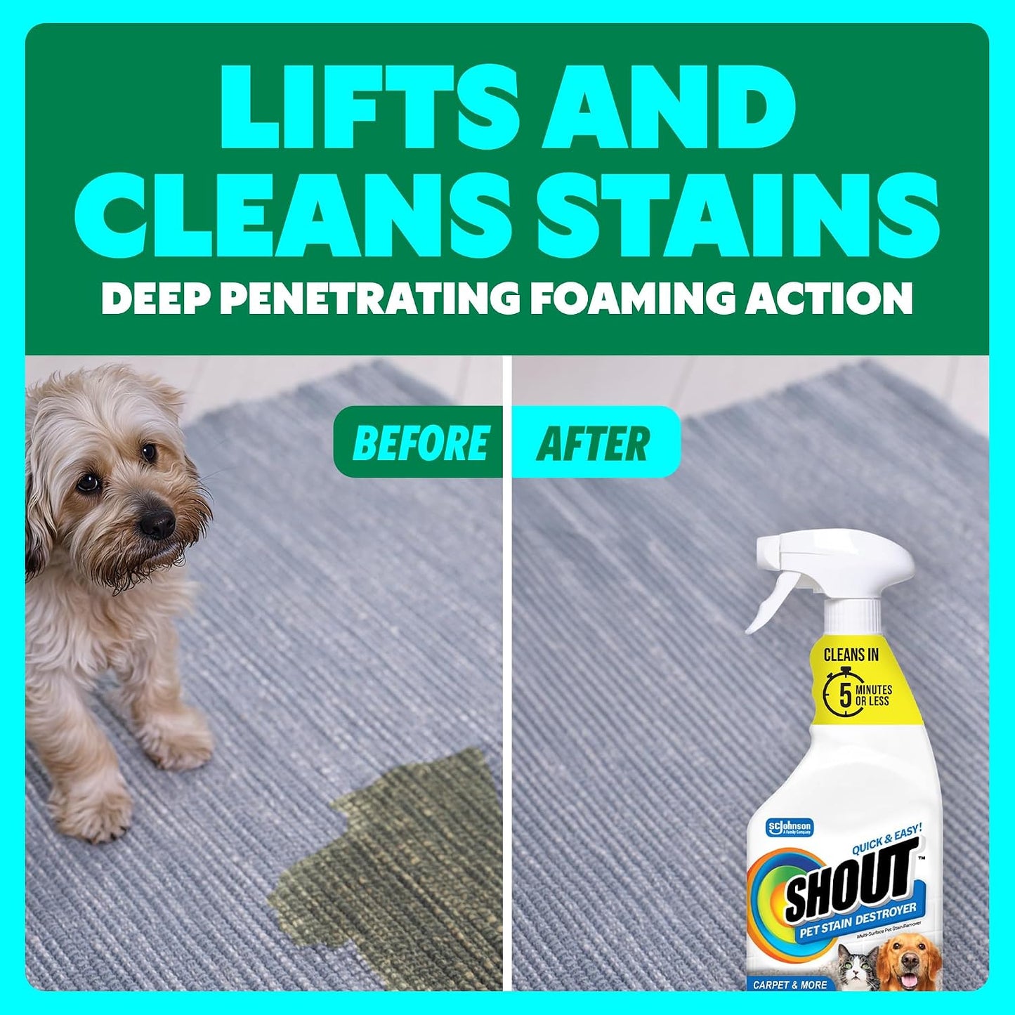 Close up of Shout Pet Stain Remover instructions on back label