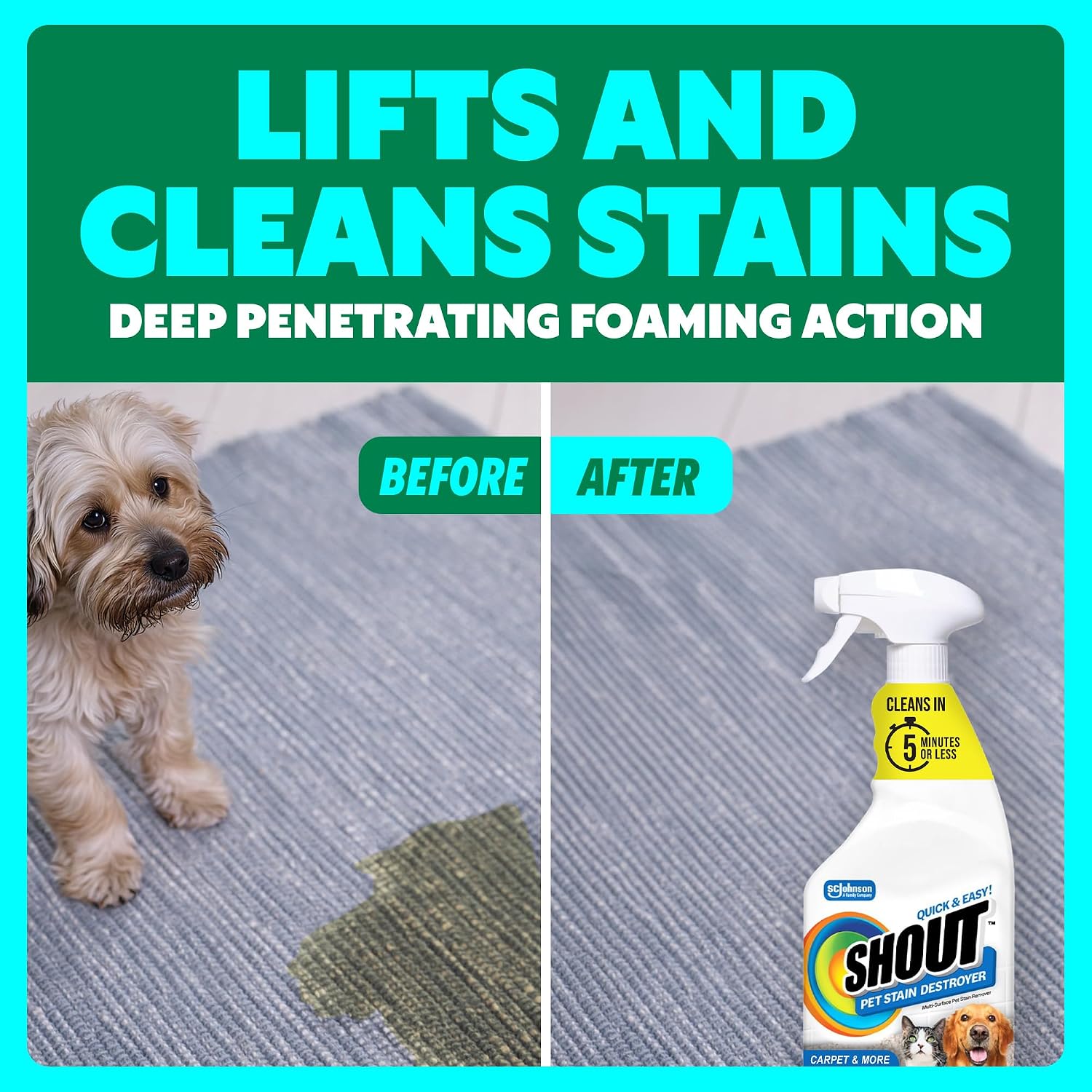 Close up of Shout Pet Stain Remover instructions on back label