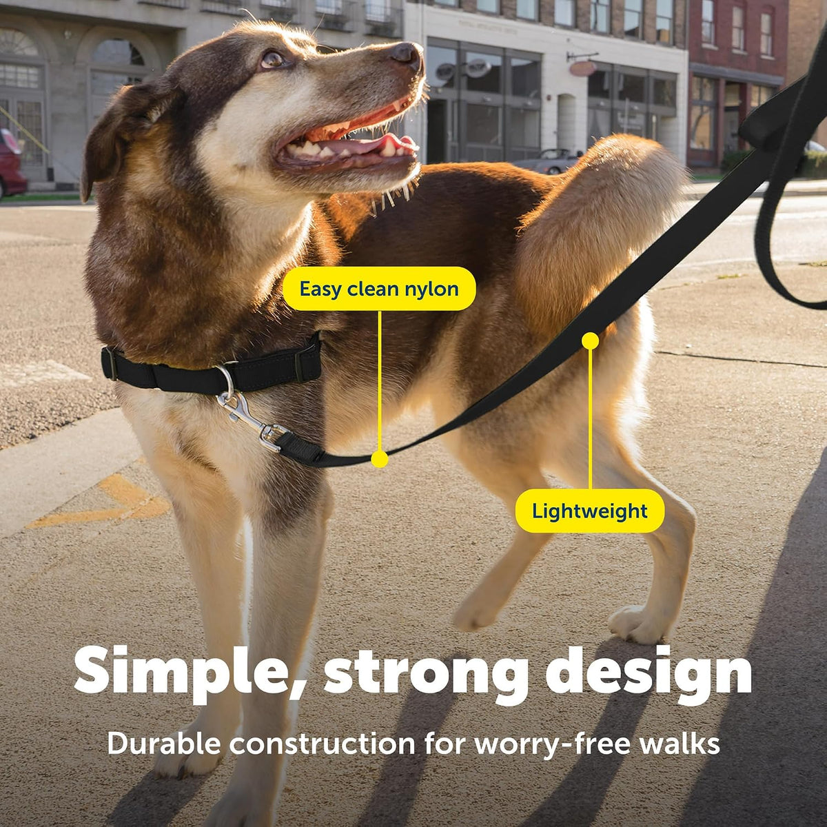 PetSafe nylon leash flexible woven texture detail
