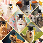 Two mini graduation caps for small pets side by side