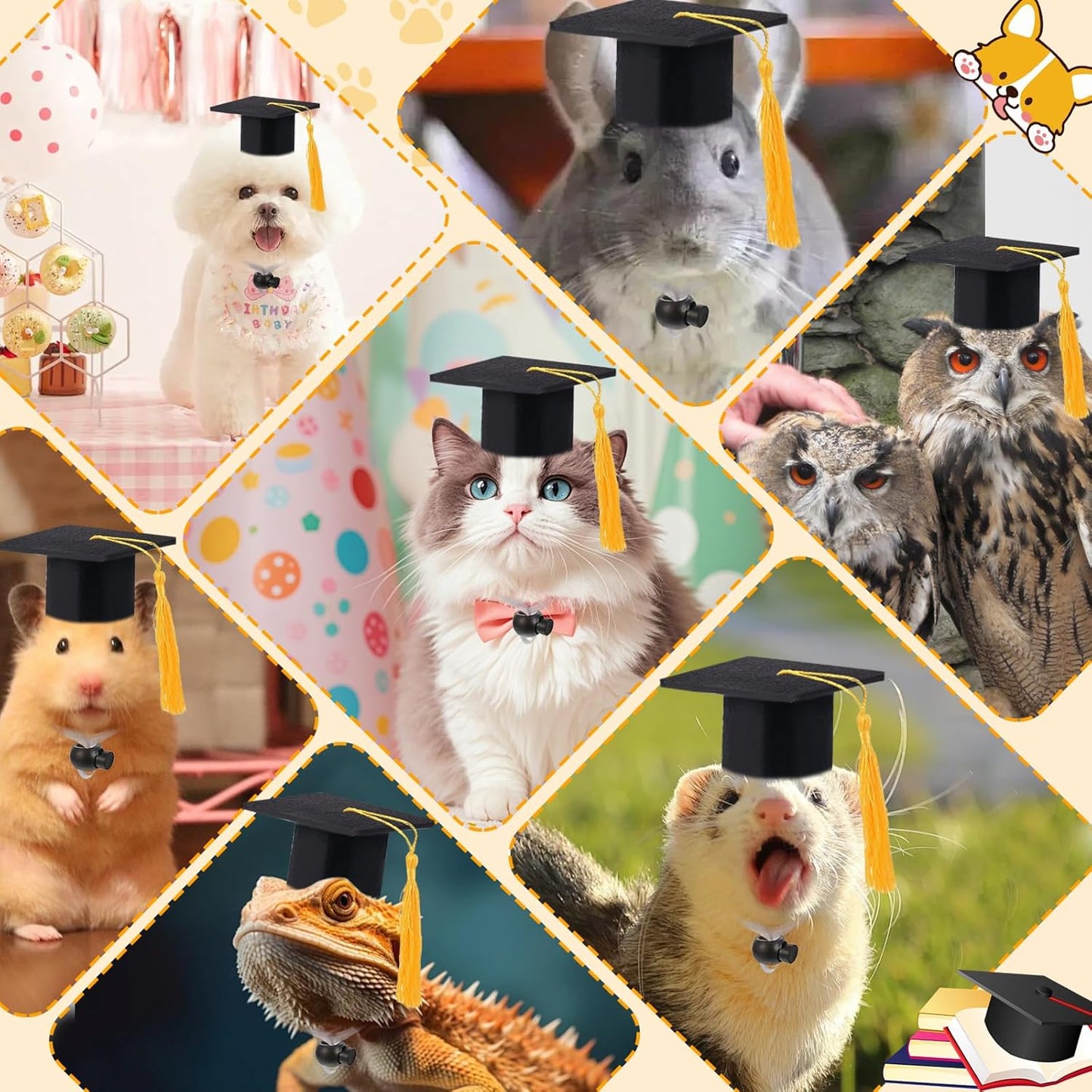 Two mini graduation caps for small pets side by side