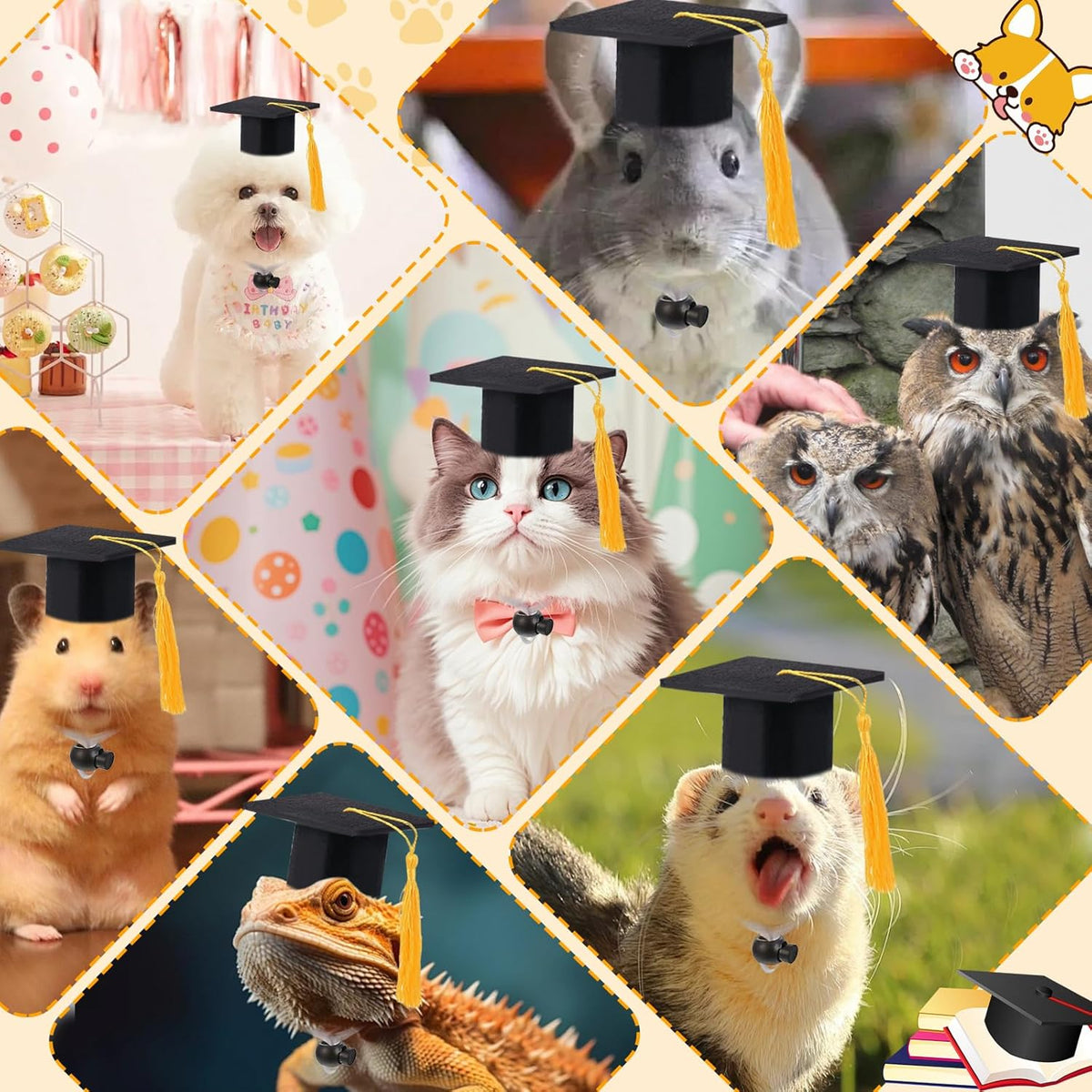 Two mini graduation caps for small pets side by side