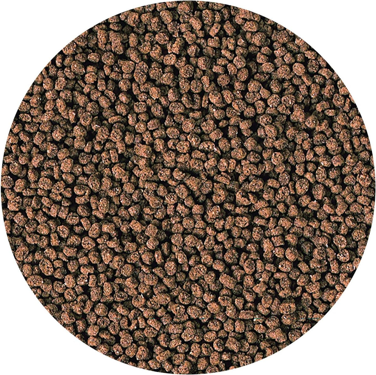 Close up of small marine fish food sinking pellets