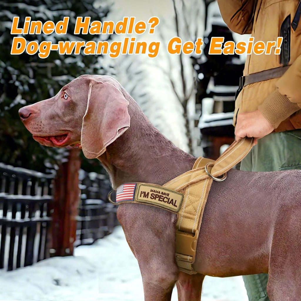 Forestpaw heavy duty dog harness with top control handle and quick release buckles.