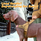 Forestpaw heavy duty dog harness with top control handle and quick release buckles.
