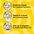Close up of Temptations chicken flavor kitten treat pouch