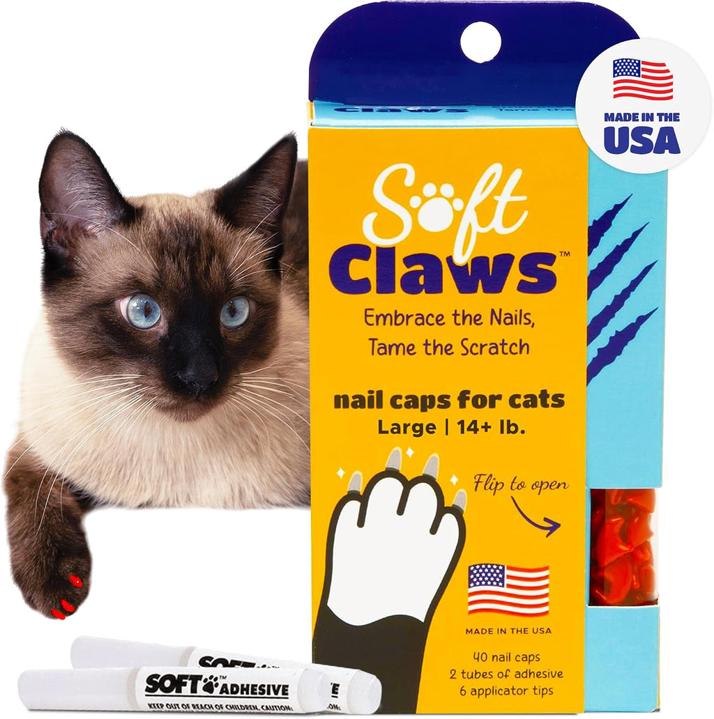 Soft Claws Cat Nail Caps for Medium Cats - (40 Caps, Clear) - Made in USA - Veterinarian-Developed | Protects Furniture & Skin - Easy to Apply, Long-Lasting Anti-Scratch Soft Cat Claw Covers - Image 14