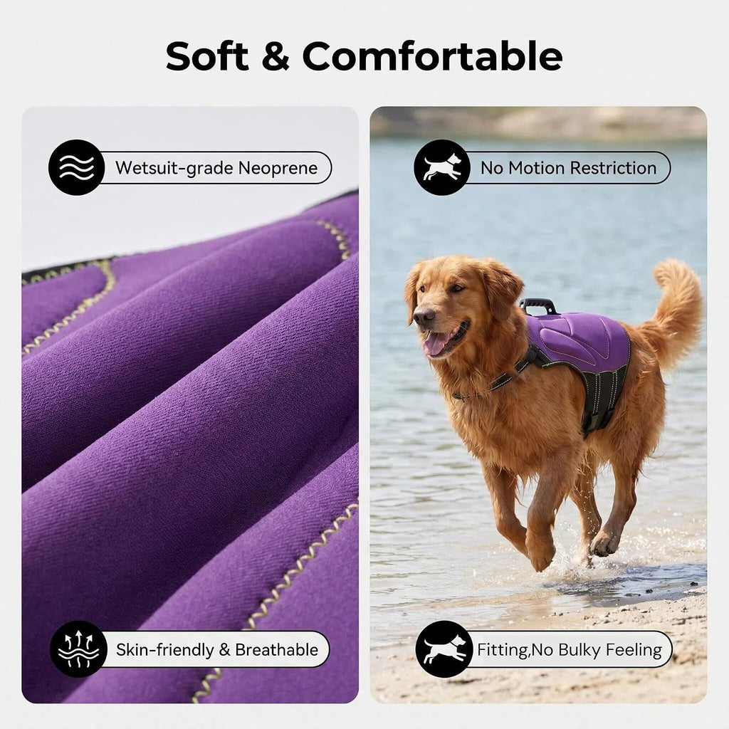 Dog wearing compact neoprene life vest in pool