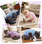 Cat wearing Emutol recovery suit for abdominal wound protection