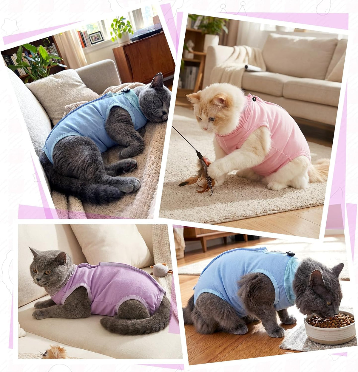 Cat wearing Emutol recovery suit for abdominal wound protection