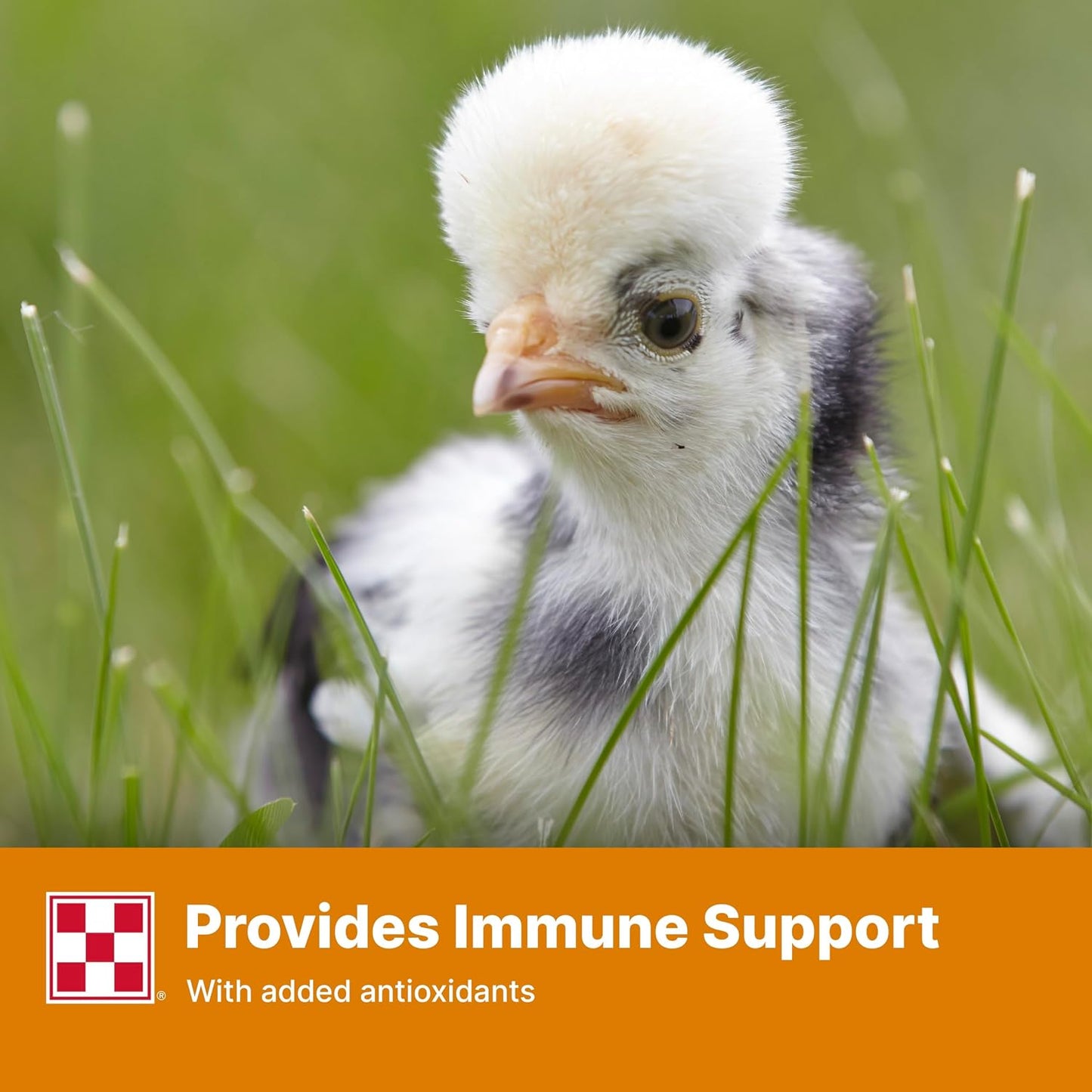 Side profile of 25 pound Purina chick starter bag