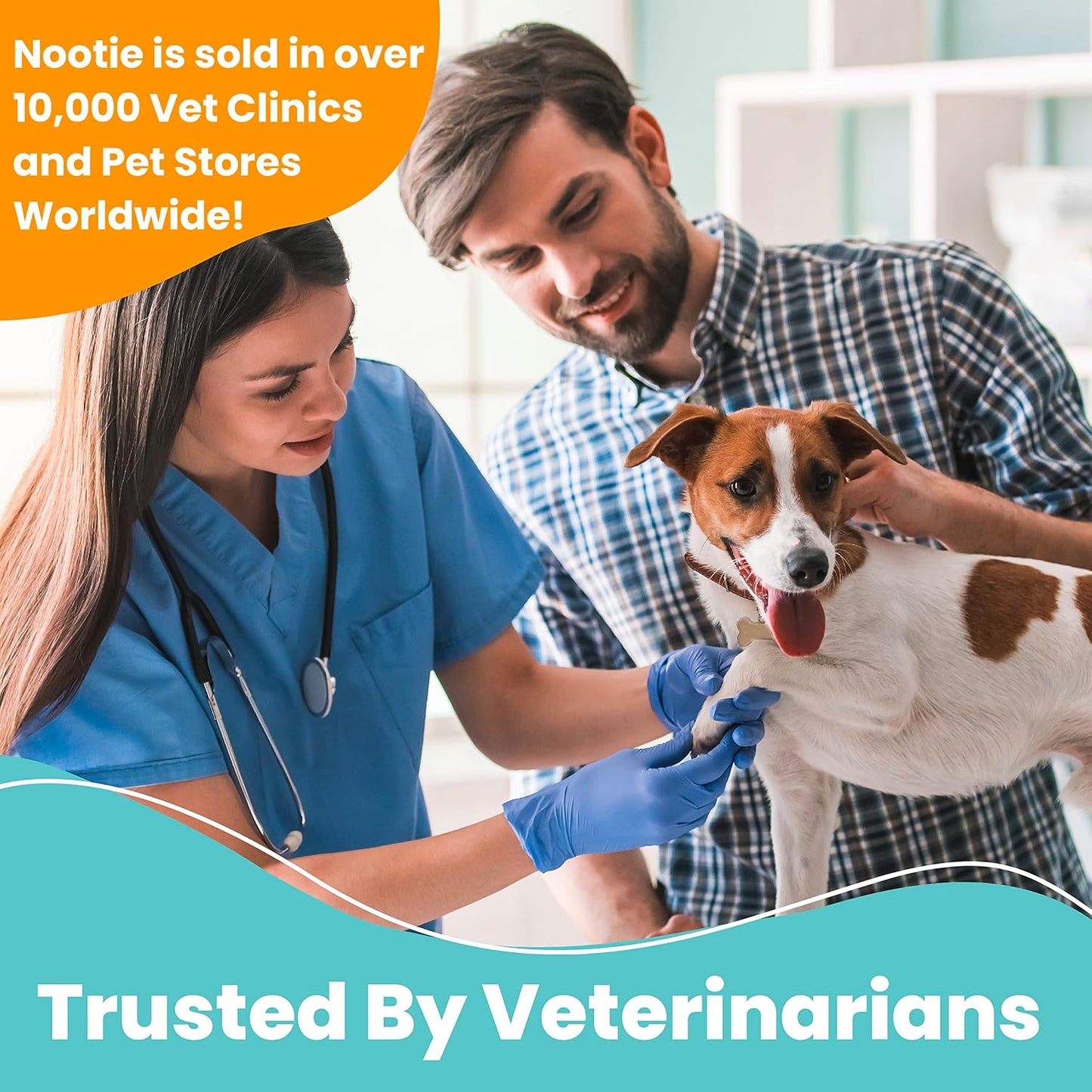 Applying Nootie dental gel to dog teeth for hygiene