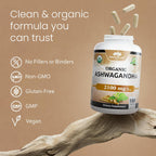NaturaLife Labs Organic Ashwagandha 2100 mg per Serving - Full Spectrum Root Powder and Standardized Extract (Withanolides) - 100 Capsules - Vegan - Non-GMO, Gluten-Free - Image 6