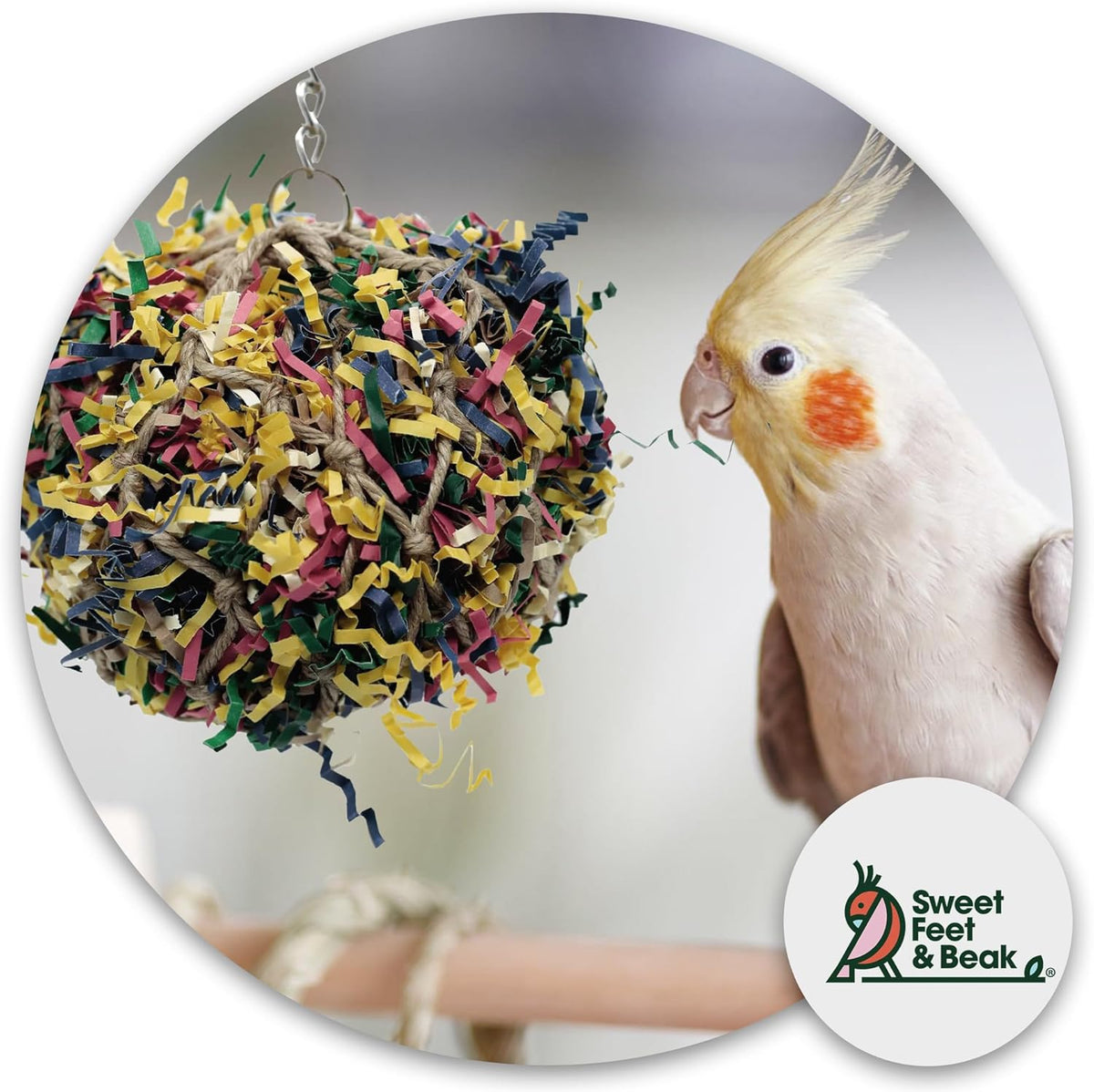 Small bird playing with colorful Sweet Feet and Beak shredding toy