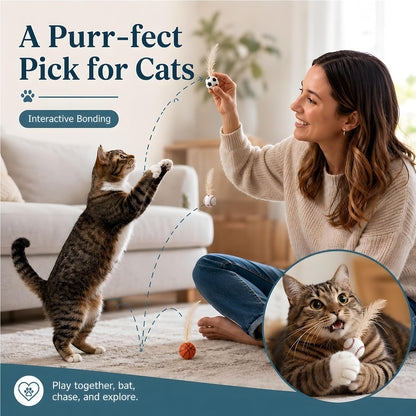 Kitten pouncing on a high contrast bouncing ball toy during daily home training