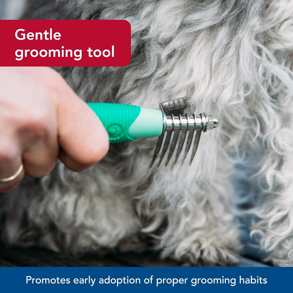Green easy-grip handle of Coastal Pet small dog grooming tool