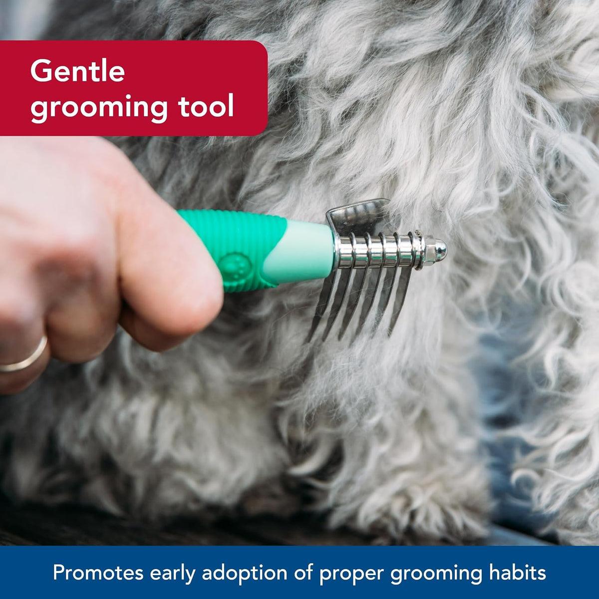 Green easy-grip handle of Coastal Pet small dog grooming tool