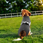 SAWMONG professional pet surgical suit laid flat showcasing full abdominal coverage.