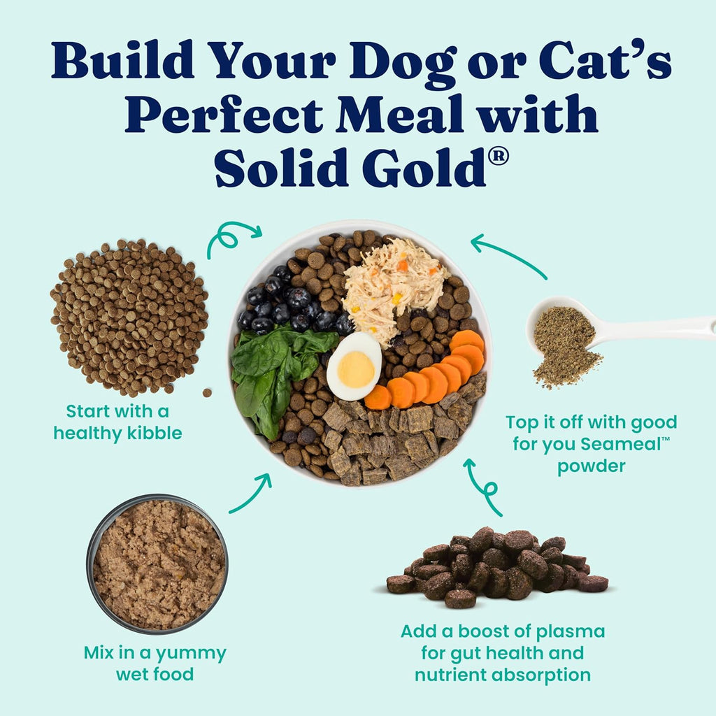 Pet owner mixing seaweed supplement into dog food bowl
