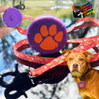 Mini Clip-On Power Leash Set - 2pc Heavy-Duty, Lightweight, Compact, Durable, Waterproof, Wearable, Adjustable Lead for Off-Leash Walking, Hiking, Training, Travel & Hands-Free Dog Control - Image 9
