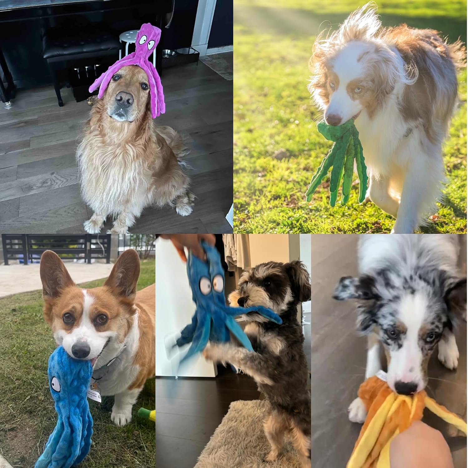 HGB imported plush crinkle pet toy for large breeds