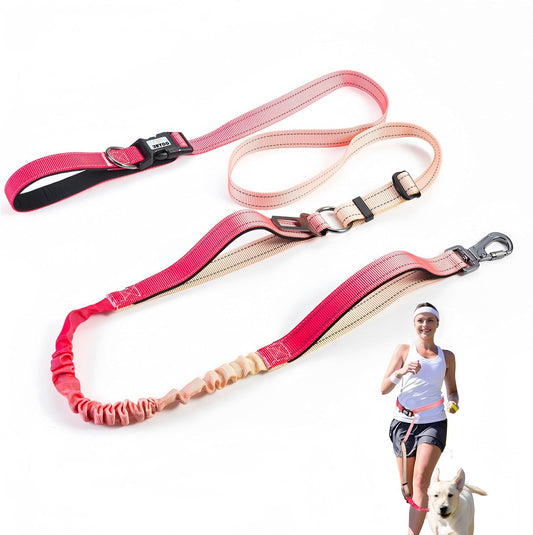Jetog heavy duty hands free dog leash front view