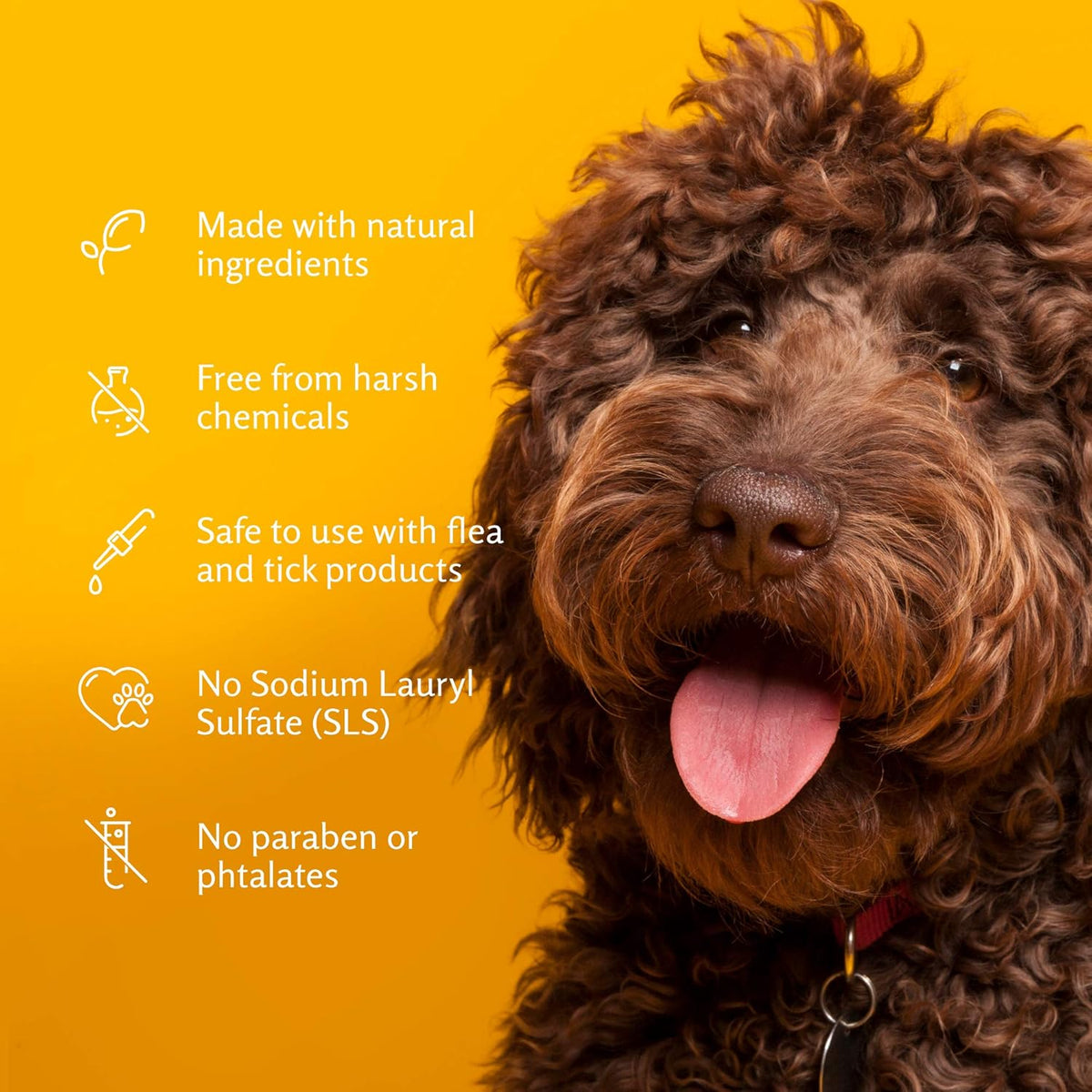 Close up of Arm and Hammer vanilla coconut dog shampoo label