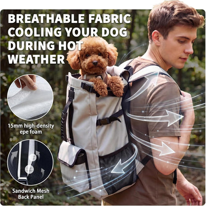 Aeegee dog backpack carrier being used during an outdoor hiking trip demonstrating secure hands free pet travel.