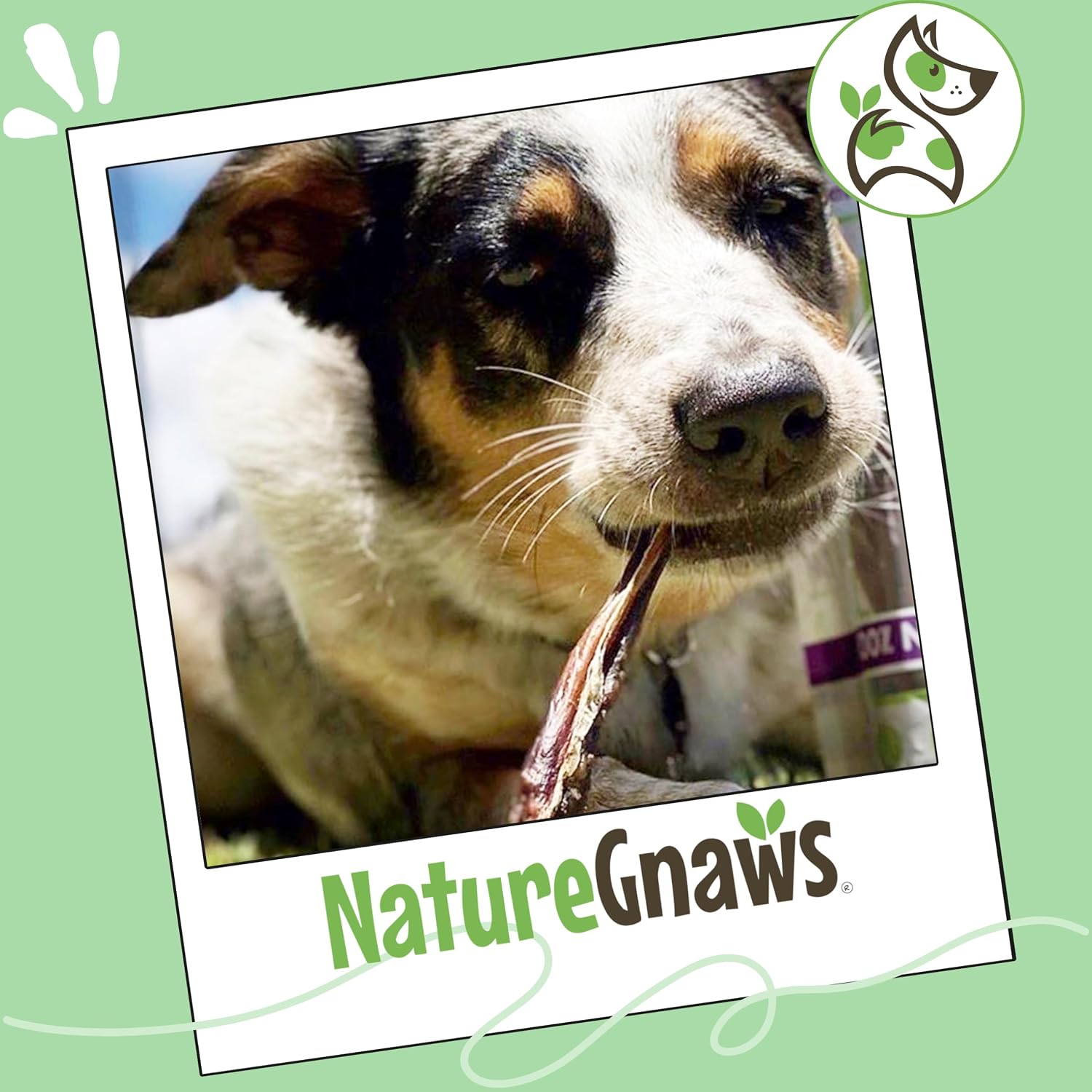 Nature Gnaws five to six inch extra thin chews for light chewers
